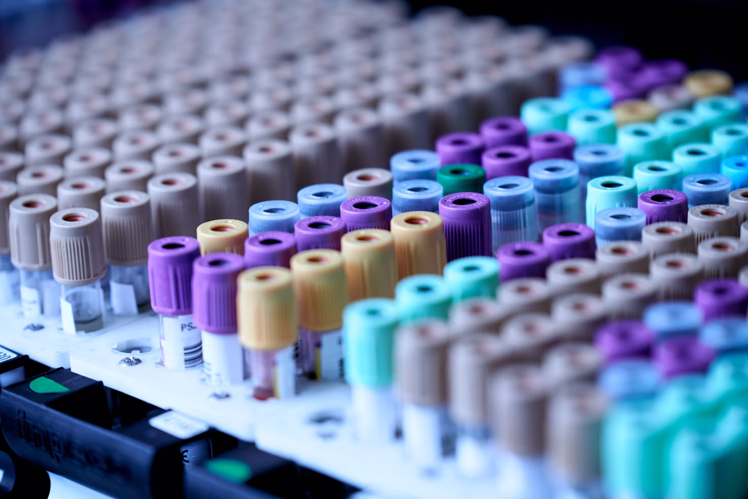 Lab Tests